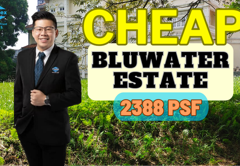 Bluwater Estate