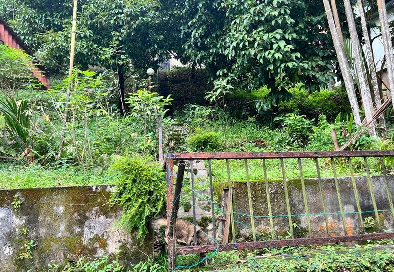 Damansara Heights (Bukit Damansara)