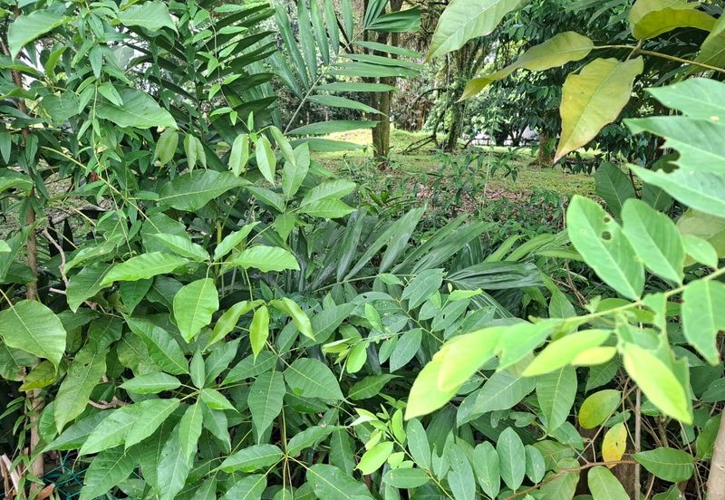 Country Heights Kajang