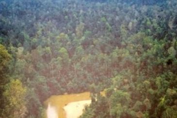 Agricultural Land @ MUKIM HULU TEMBELING, Jerantut Pahang