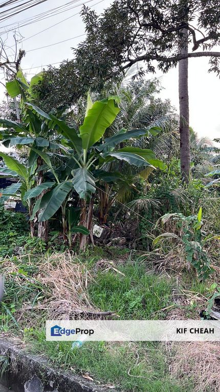 Kampung Tengah Puchong Agricultural Land, Selangor, Puchong