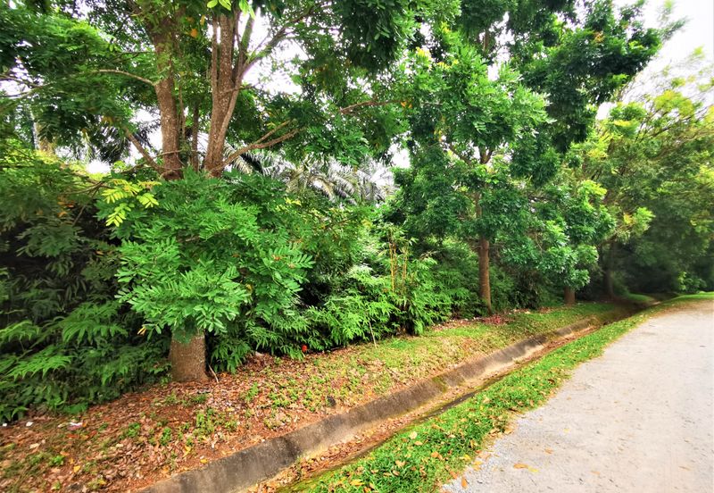 FREEHOLD Agricultural Land Ayer Keroh, near Lebuh SPA