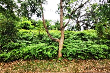 FREEHOLD Agricultural Land Ayer Keroh, near Lebuh SPA