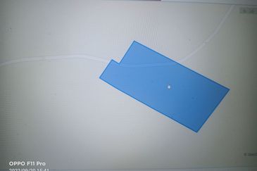 TanaH PertAniAn 6 Ekar di Pasir Mas,KelaNtan 4SALe