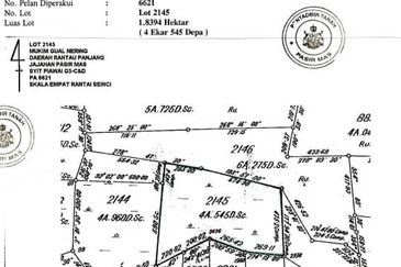 Tanah pertanian 4.5 Ekar di Pasir Mas Below Market