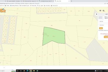 Tanah pertanian 4.5 Ekar di Pasir Mas Below Market
