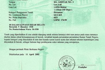 Tanah pertanian 4.5 Ekar di Pasir Mas Below Market