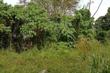 Tanah di Kuala Pilah 1.9Ekar mAlay Reserved