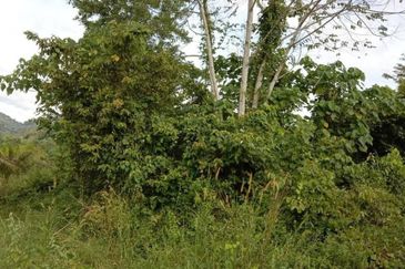 Tanah di Kuala Pilah 1.9Ekar mAlay Reserved