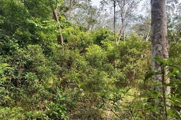 Tanah Pertanian di Kuala Pilah 3.75 ekar for SaLE