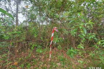 Murah🔥 Tanah Lot Banglo Sungai Buah,Bukit Unggul