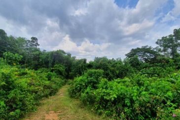 Murah🔥 Tanah Lot Banglo Sungai Buah,Bukit Unggul