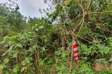 Murah🔥 Tanah Lot Banglo Sungai Buah,Bukit Unggul