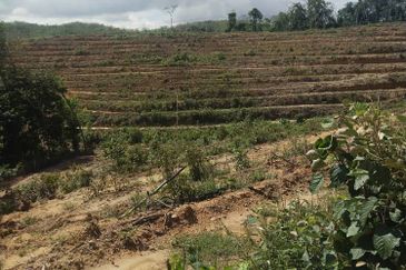 Tanah Pertanian di Kempis Hilir,kUala Pilah 4 SaLe