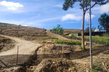 Tanah Pertanian di Kempis Hilir,kUala Pilah 4 SaLe