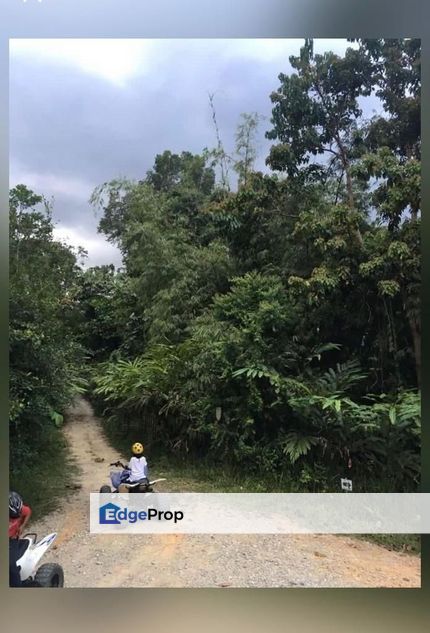 Murah Tanah 2.49 hektar di Janda Baik for Sale, Pahang, Bentong