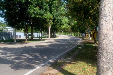 Murah 💗Tanah Lot Pertanian Jalan Bukit Baru - Duyong Melaka 