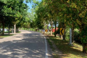Murah 💗Tanah Lot Pertanian Jalan Bukit Baru - Duyong Melaka 