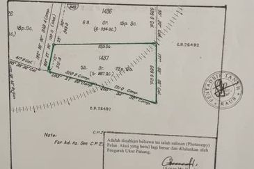 Murah💓Agricultural Land Durian Tree 6 Ekar di Raub, Pahang for SALE near Temau Agro Valley  
