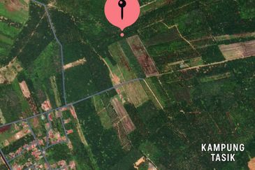 Jasin, Melaka, Oil Palm Land for sale