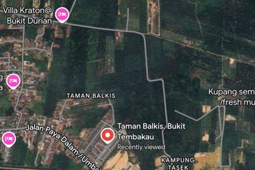 Jasin, Melaka, Oil Palm Land for sale