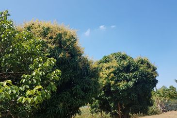 Nusa Dusun Orchard Resort, Kuala Linggi, Melaka.