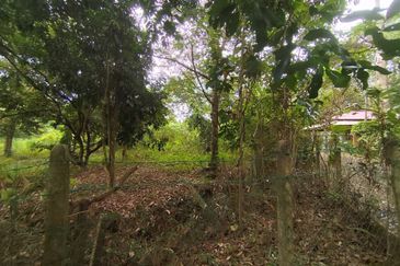 Kg Jai, Lenggeng, Negeri Sembilan Tanah Pertanian