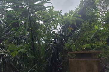 Kg Jai, Lenggeng, Negeri Sembilan Tanah Pertanian