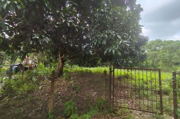 Kg Jai, Lenggeng, Negeri Sembilan Tanah Pertanian