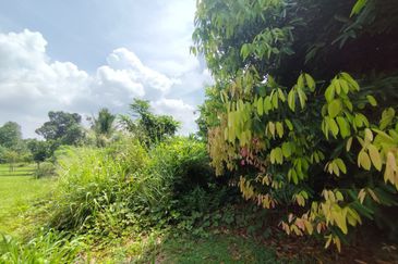 Murah💗BUNGALOW LOT, BAYU LAKEHOMES,Meranti MANTIN,N9