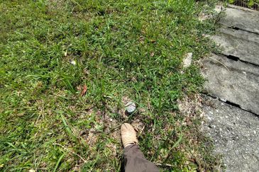 Murah💗BUNGALOW LOT, BAYU LAKEHOMES,Meranti MANTIN,N9