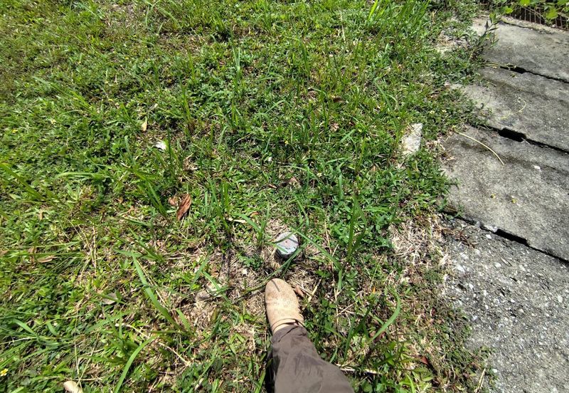 Murah💗BUNGALOW LOT, BAYU LAKEHOMES,Meranti MANTIN,N9