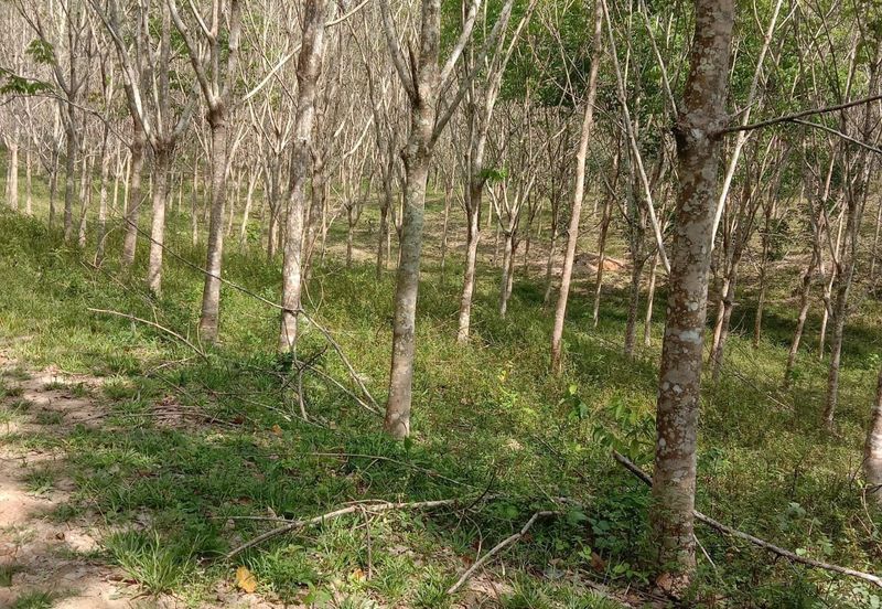 Murah 💗Tanah Pertanian 2 Ekar di Lenggeng Negeri Sembilan for SaLe