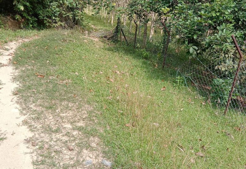 Murah 💗Tanah Pertanian 2 Ekar di Lenggeng Negeri Sembilan for SaLe