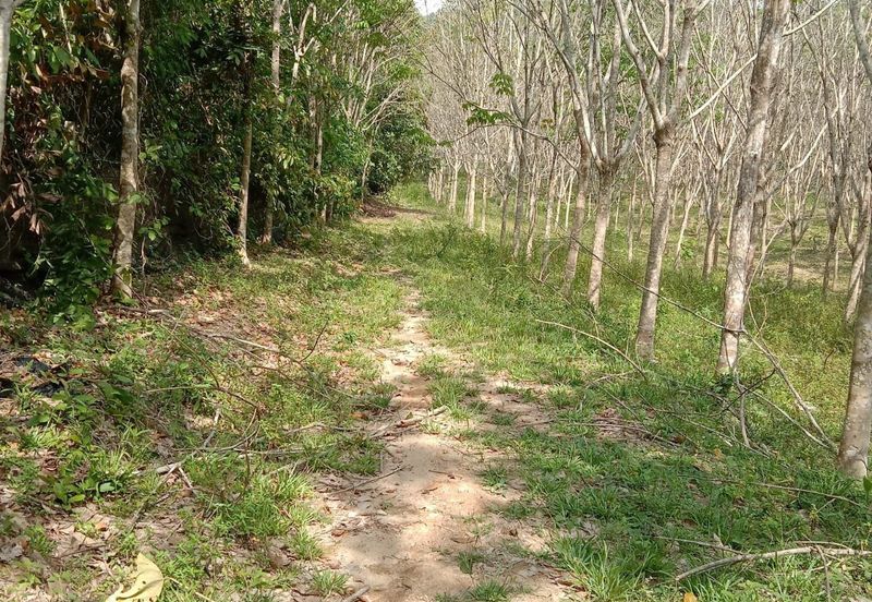 Murah 💗Tanah Pertanian 2 Ekar di Lenggeng Negeri Sembilan for SaLe