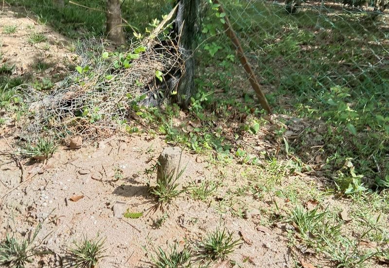 Murah 💗Tanah Pertanian 2 Ekar di Lenggeng Negeri Sembilan for SaLe