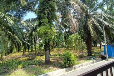 Taman Merbah, Olak Lempit