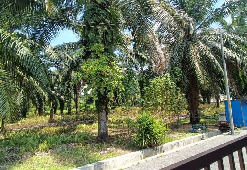 Taman Merbah, Olak Lempit