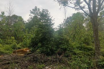 BELOW MARKET 🔥🔥  FFreehold 💗Tanah Lot Tepi Jalan besar Nilai - Sepang Commercial