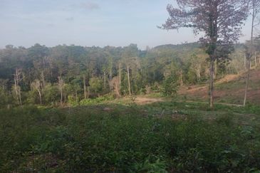 For sale kota warisan agricultural land