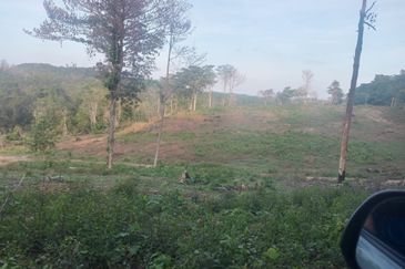 For sale kota warisan agricultural land