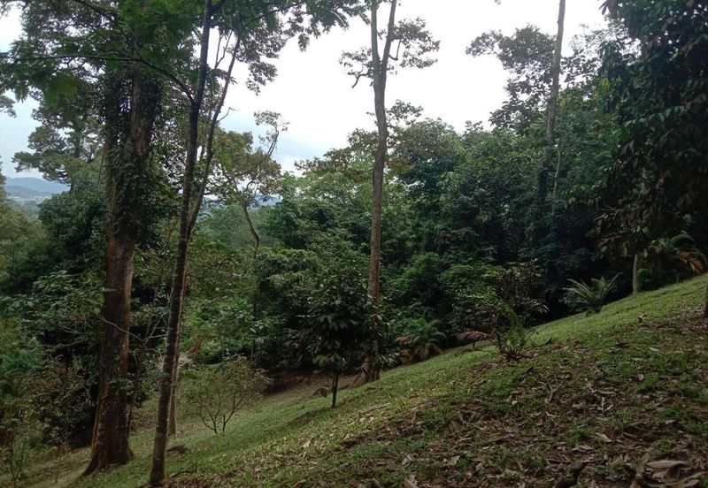 Tanah Pertanian Dusun Tuan , Batu 17 Hulu Langat