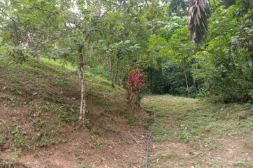 Tanah Pertanian Dusun Tuan , Batu 17 Hulu Langat