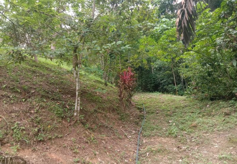 Tanah Pertanian Dusun Tuan , Batu 17 Hulu Langat