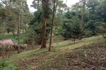Tanah Pertanian Dusun Tuan , Batu 17 Hulu Langat