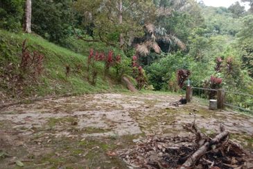 Tanah Pertanian Dusun Tuan , Batu 17 Hulu Langat