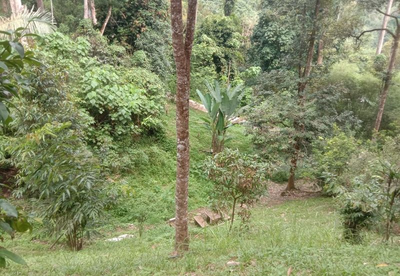 Tanah Pertanian Dusun Tuan , Batu 17 Hulu Langat