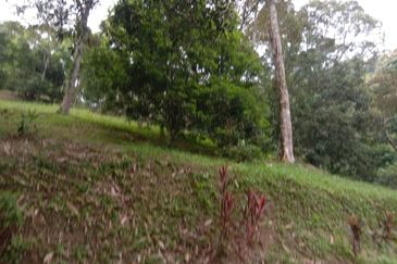 Tanah Pertanian Dusun Tuan , Batu 17 Hulu Langat