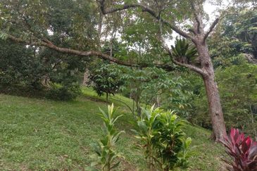 Tanah Pertanian Dusun Tuan , Batu 17 Hulu Langat