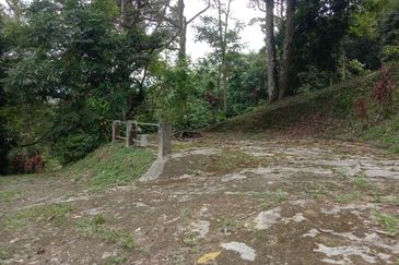 Tanah Pertanian Dusun Tuan , Batu 17 Hulu Langat